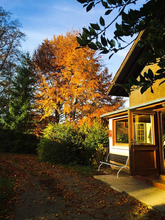 Le Chalet Luttenbach-pres-Munster Ngoại thất bức ảnh