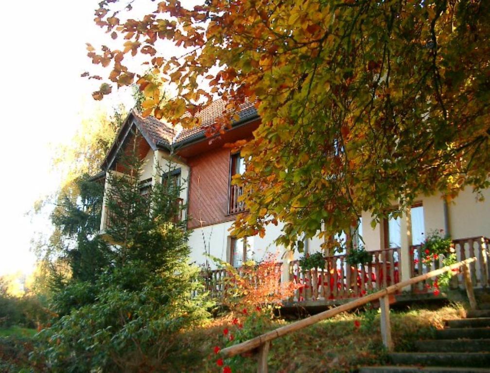 Le Chalet Luttenbach-pres-Munster Ngoại thất bức ảnh