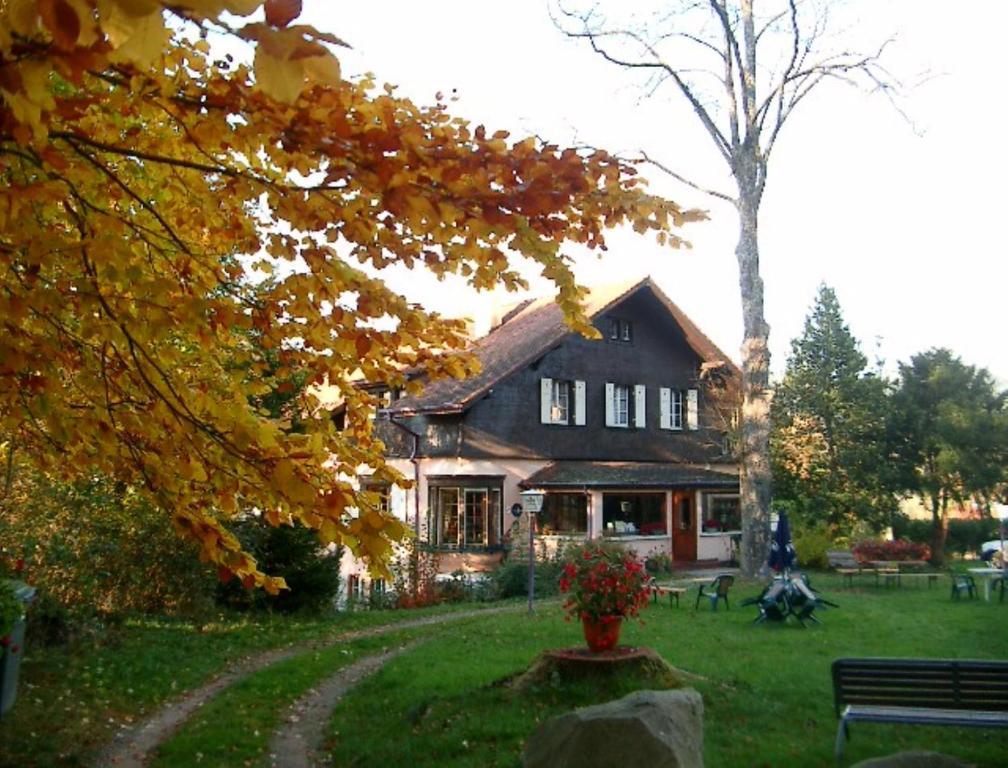 Le Chalet Luttenbach-pres-Munster Ngoại thất bức ảnh
